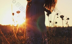 火影忍者纲手禁漫全彩